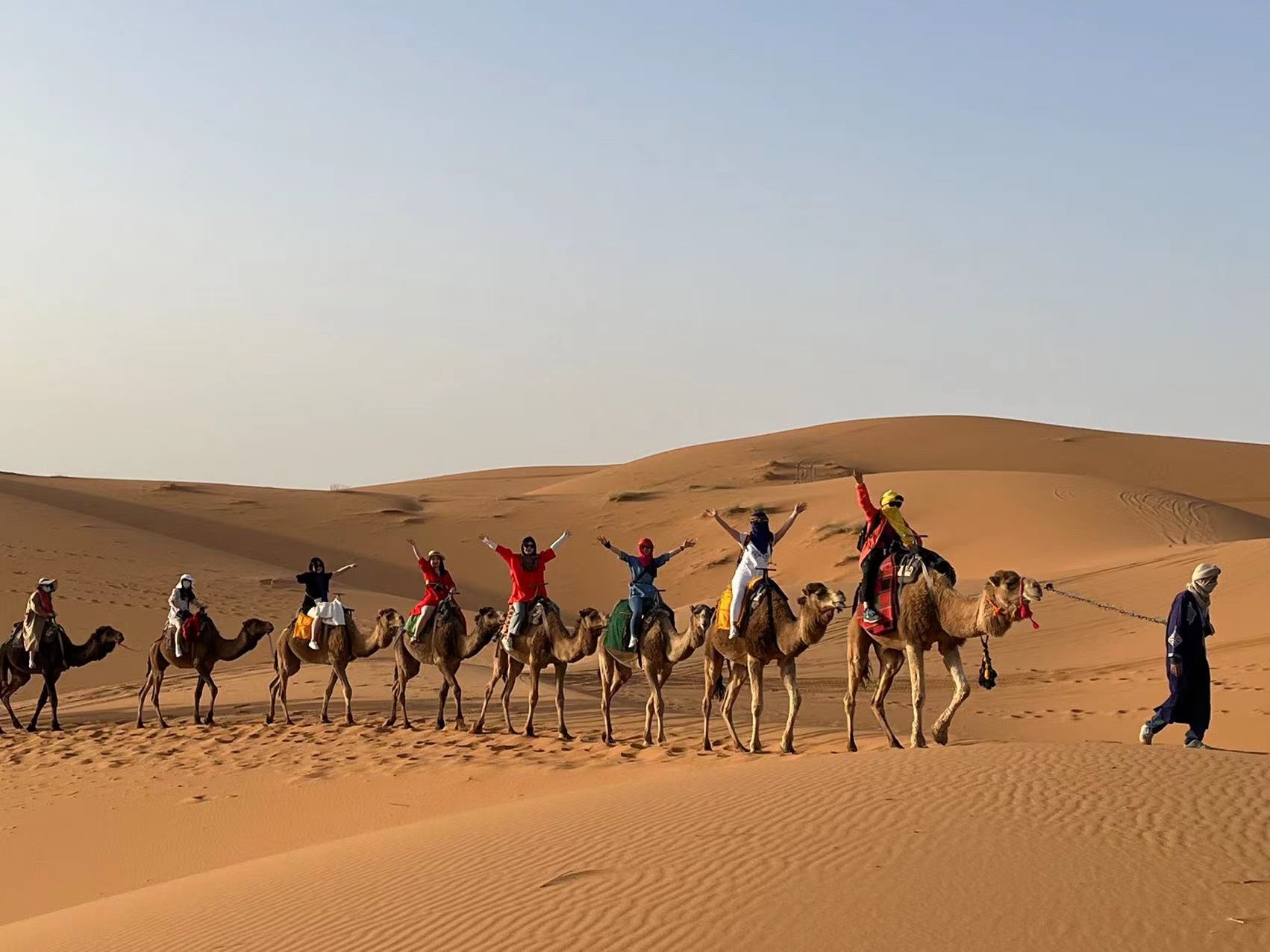 Group of travelers on camels in the Sahara desert